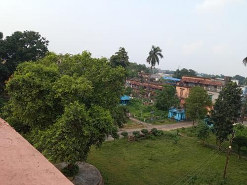 Greenaries-Birds-eye-view