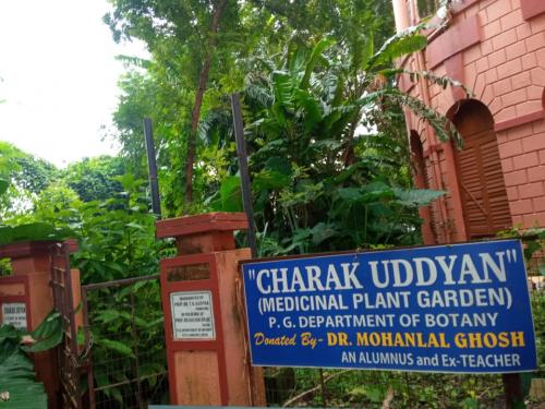 Greenaries-Medicinal-Plant-Garden